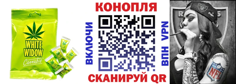 гидра ТОР  купить   Менделеевск  Canna-Cookies марихуана 