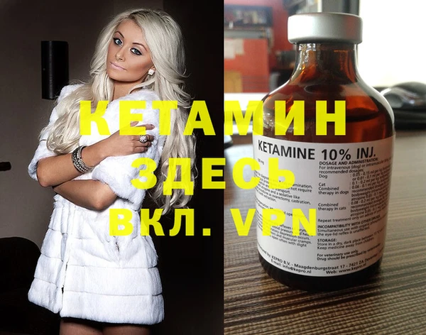 трава Новозыбков