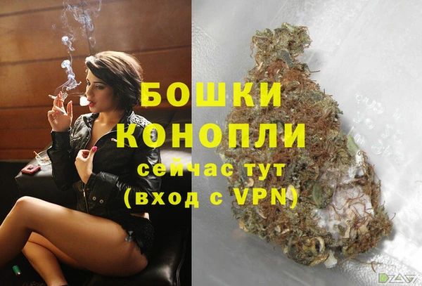 PSILOCYBIN Новокубанск