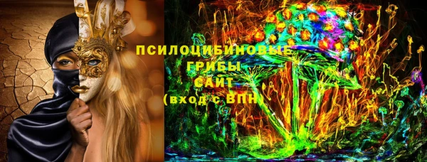 мдма Няндома