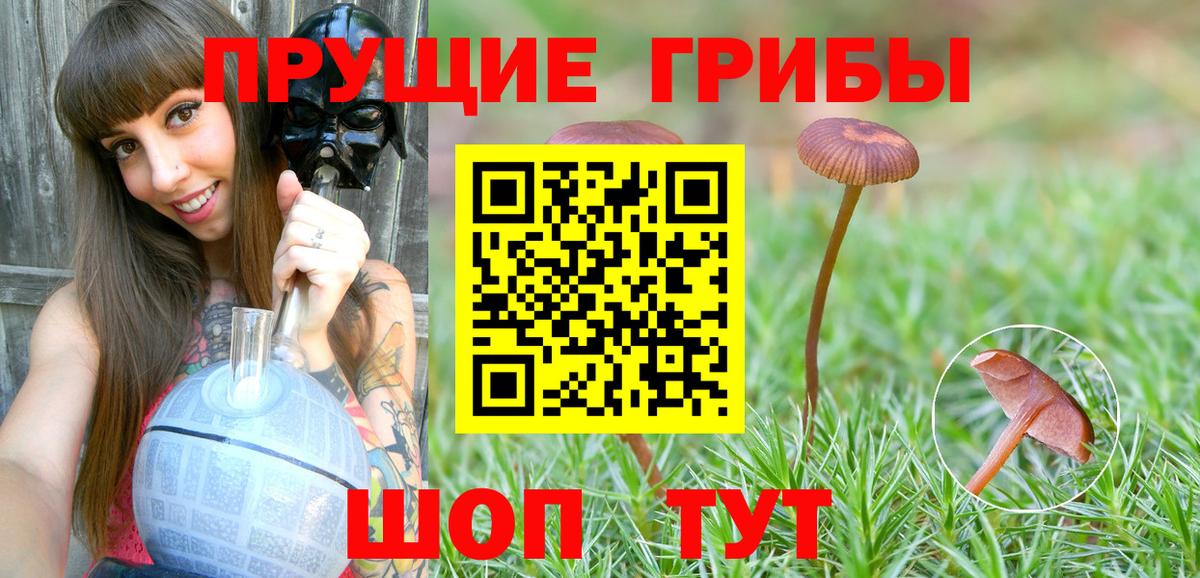 Галлюциногенные грибы мицелий Менделеевск