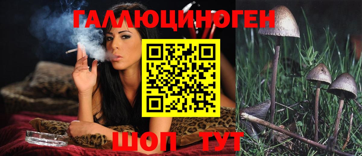 купить наркотик  Псилоцибиновые грибы Psilocybe  Менделеевск  Псилоцибиновые грибы Psilocybe 