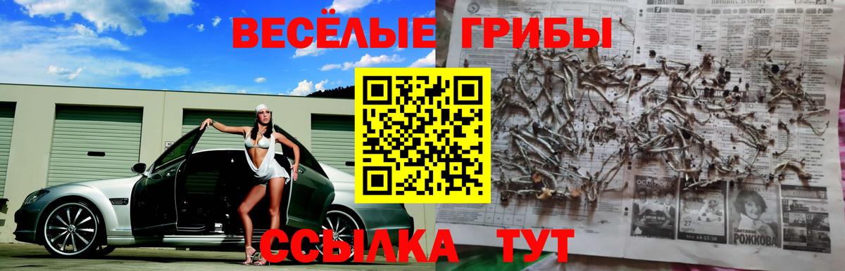 Псилоцибиновые грибы ЛСД  Вход с VPN  Менделеевск 